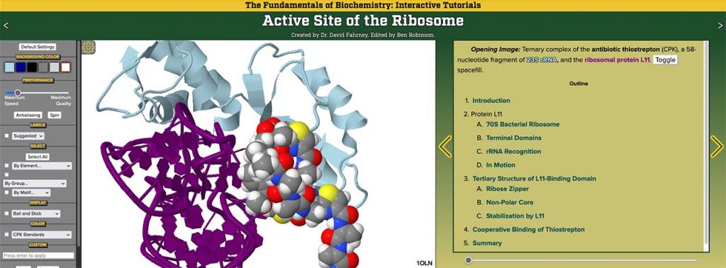 The Fundamentals of Biochemistry: Interactive Tutorials – Biochemistry ...